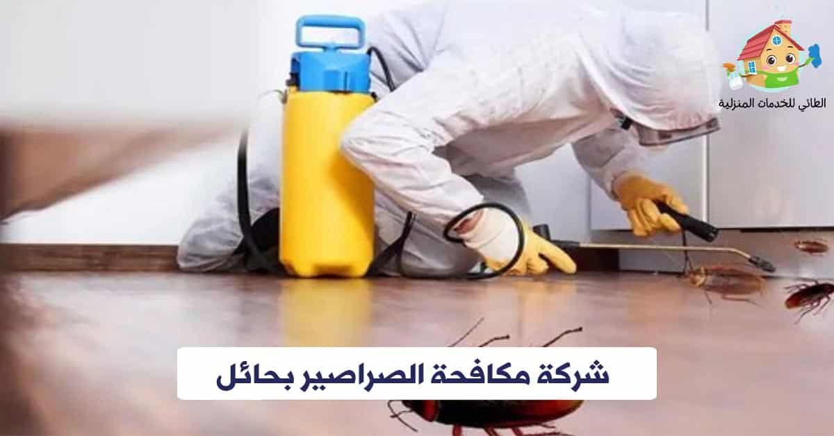 شركة مكافحة الصراصير بحائل